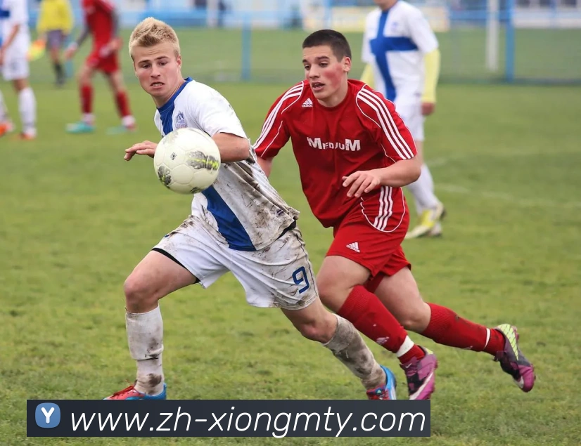 数据防护可视化